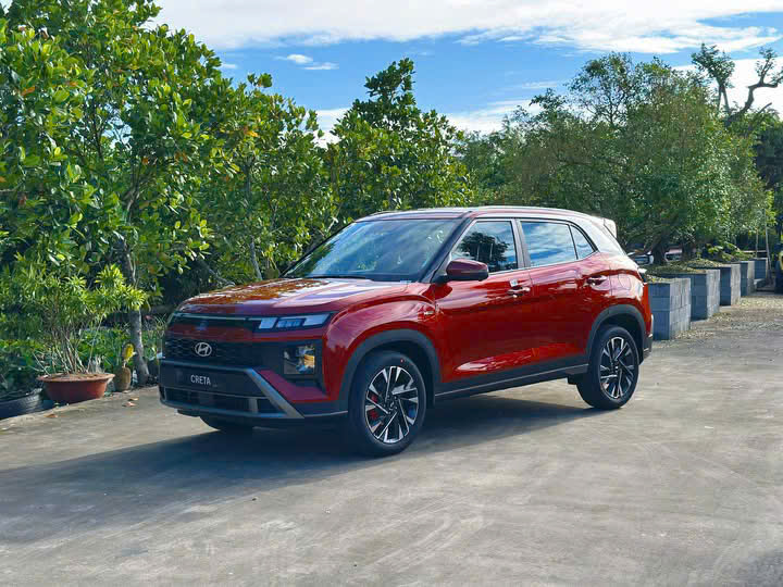 ĐỎ CÁ TÍNH – CHẤT N LINE KHÔNG TRỘN LẪN