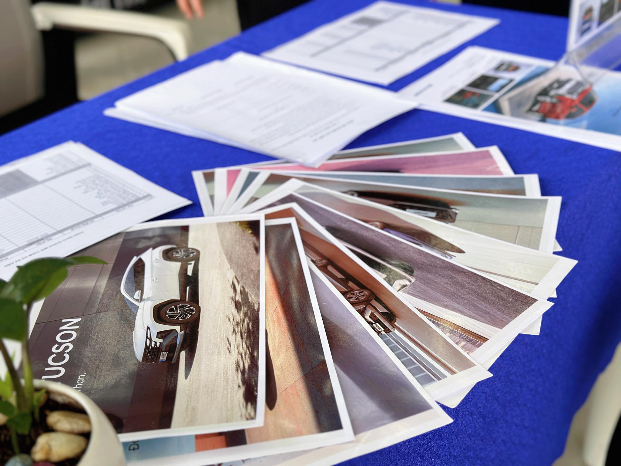 661455370 902280492774232 6899809933258386887 n